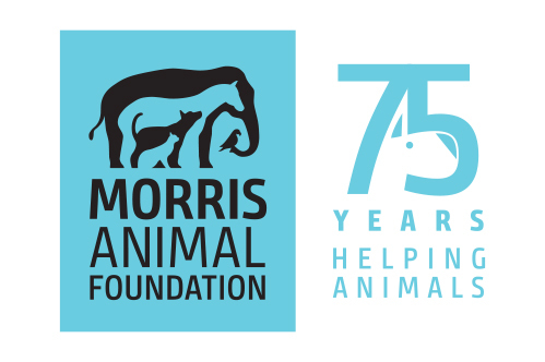 Morris Animal Foundation Celebrates 75 Years